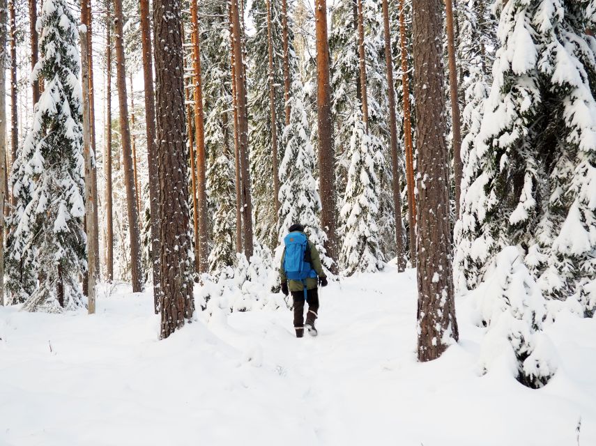 Helsinki: Winter Wonderland Liesjärvi National Park Hike - Why the small group size is part of the value