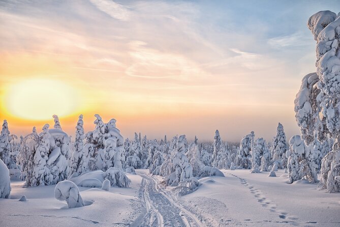 Hike to Frozen Waterfalls of Korouoma Including BBQ Lunch from Rovaniemi - Price and logistics: is $108.07 good value in Lapland?