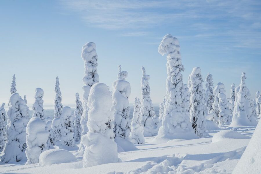 Hiking in Riisitunturi National Park with Photographer - Key highlights worth showing up for