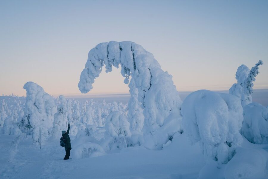 Hiking in Riisitunturi National Park with Photographer - Rovaniemi pickup and the winter van rhythm