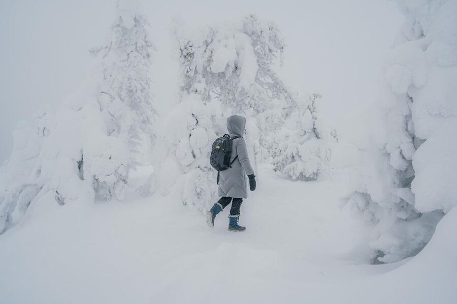 Hiking in Riisitunturi National Park with Photographer - The 5 km hike: easy pace, real viewpoint time