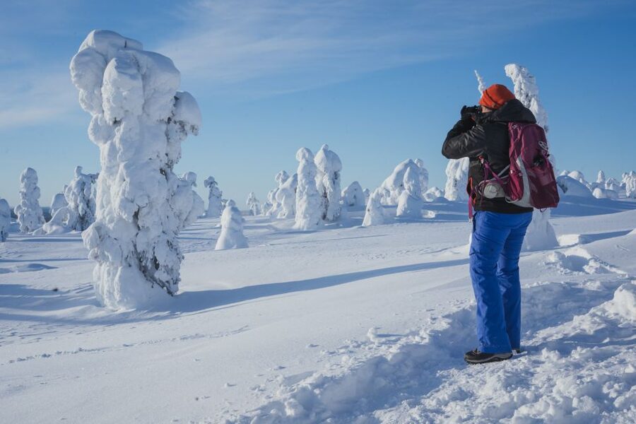 Hiking in Riisitunturi National Park with Photographer - Who should book this Riisitunturi photography hike