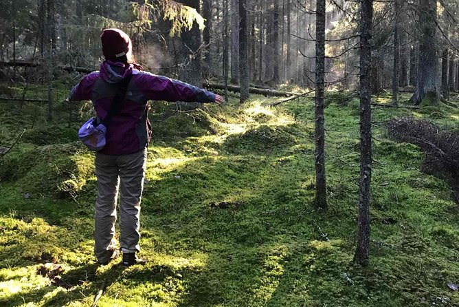 Hiking tour in Nuuksio National Park with meal and snacks - Key highlights worth planning for