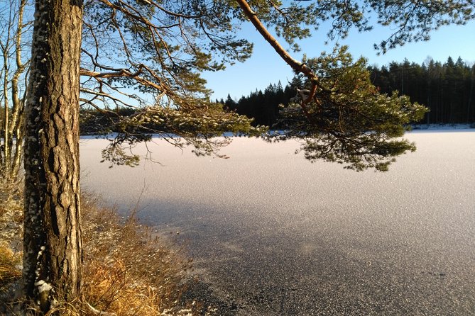 Hiking tour in Nuuksio National Park with meal and snacks - The best part might be the food: glögi, berry tea, soup, and bread