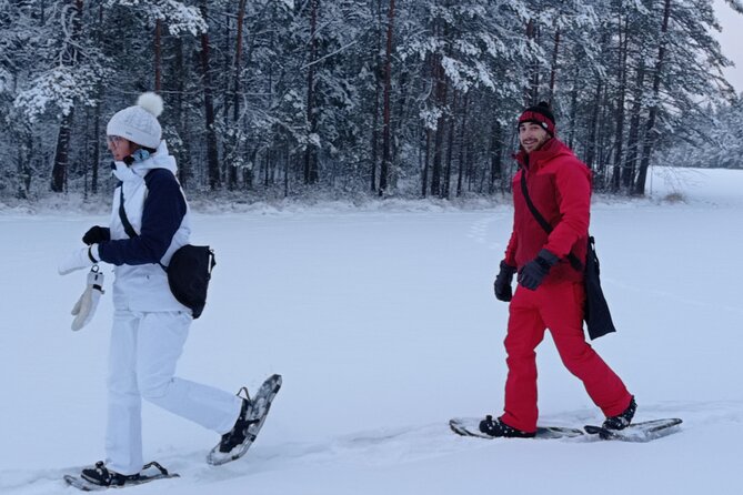 Hiking tour in Nuuksio National Park with meal and snacks - David’s guiding style: plant talk, foraging stories, and real help on uneven ground