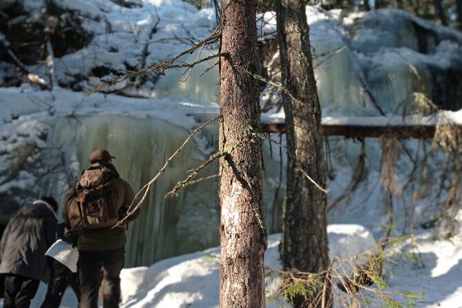 Hiking tour in Nuuksio National Park with meal and snacks - Price and value: what $113.72 buys you in Helsinki area nature time