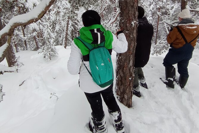 Hiking tour in Nuuksio National Park with meal and snacks - Weather, clothing, and the one thing you should not ignore: traction