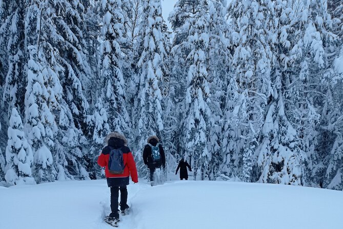 Hiking tour in Nuuksio National Park with meal and snacks - From Museokatu 8 into the woods: small-group logistics that stay easy