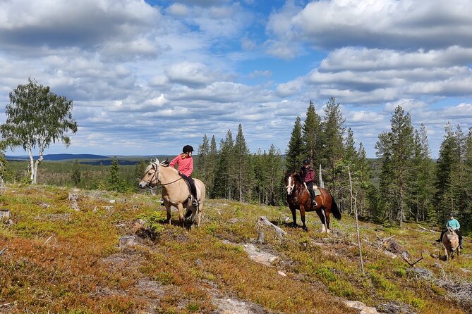 Horse Ride to the Hill Activity - Stable setup: meeting the horses and getting suited up