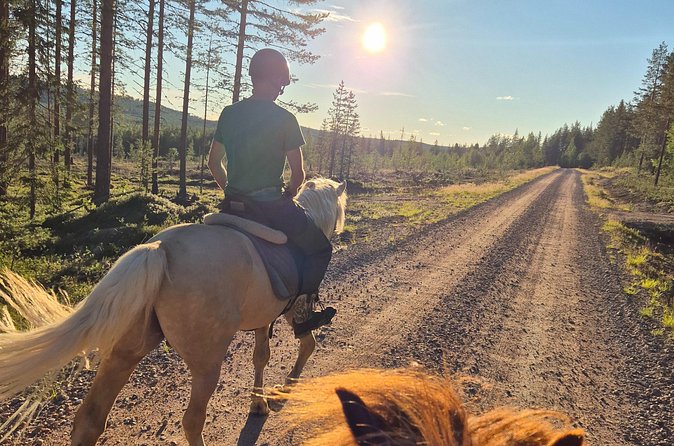 Horse Ride to the Hill Activity - Helmet, trail app, and what’s included versus not