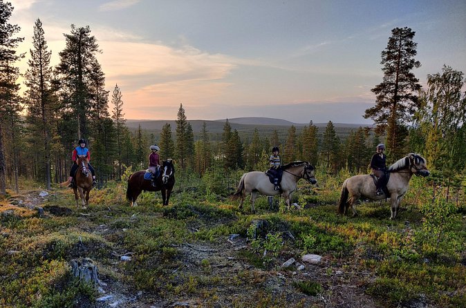 Horse Ride to the Hill Activity - Who should book this hill ride, and who might not love it