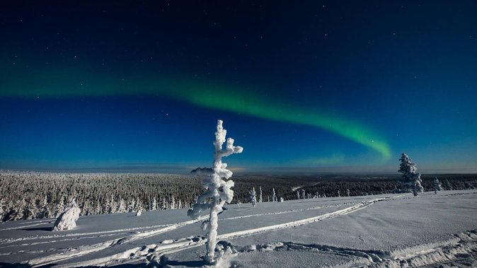 Hunting Northern Lights with Husky - Campfire warm-up and the BBQ break: comforting, but plan for portion size
