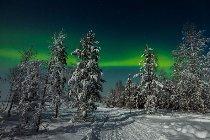 Hunting Northern Lights with Husky - Price and value: when $275.90 makes sense, and when it does not