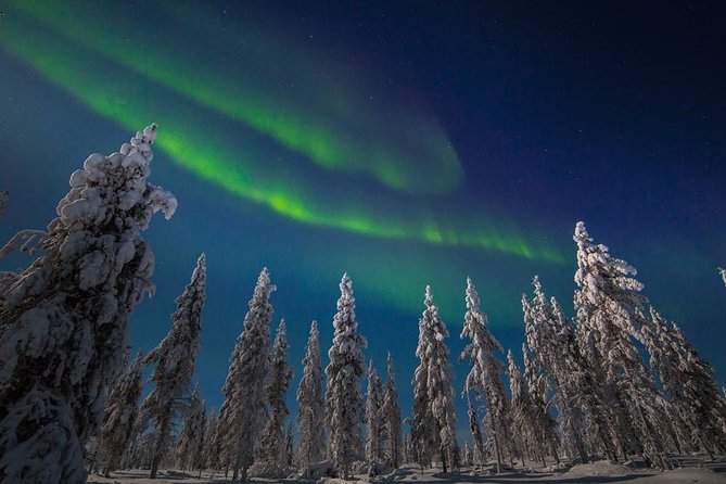 Hunting Northern Lights with Husky - The Northern Lights hunt: what to expect when the sky does not cooperate