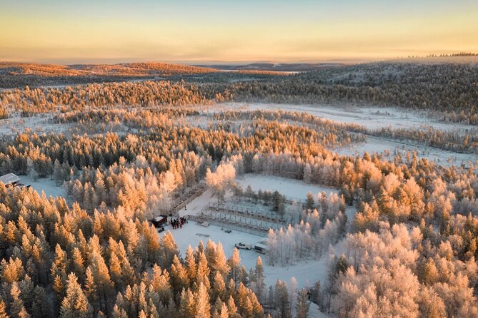 Husky Adventure 10km - Saariselka Husky Safari: What the 10 km Run Really Feels Like