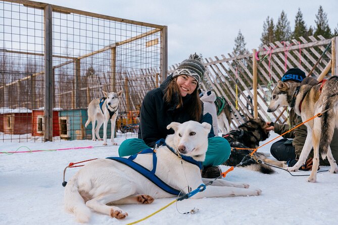 Husky Adventure 10km - What to Watch Out For: Toilets, Cold Comfort, and Weather
