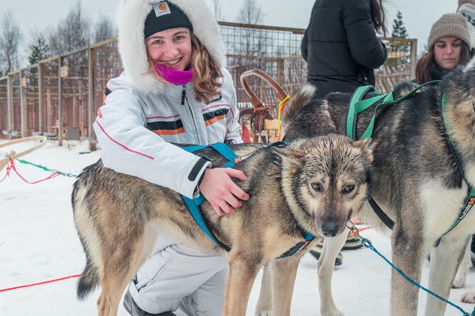 Husky Adventure 10km - Who This Husky Tour Suits Best (And Who Might Skip It)