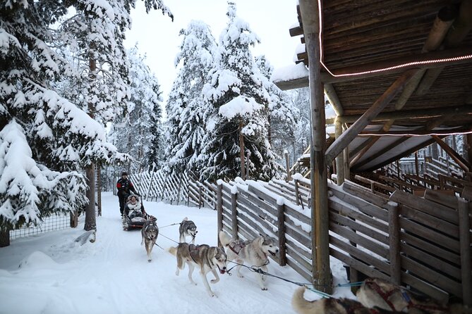 Husky and Reindeer farms visit with sleigh rides - What’s included, what’s not, and where the value is
