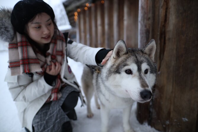 Husky and Reindeer farms visit with sleigh rides - Timing, weather, and how to protect your morning