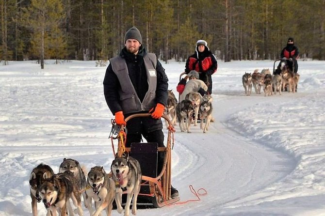 Husky Safari from Levi 2 KM or 5 KM with Husky Sledge Ride - Kennel time and stories: how the “extra” minutes add up