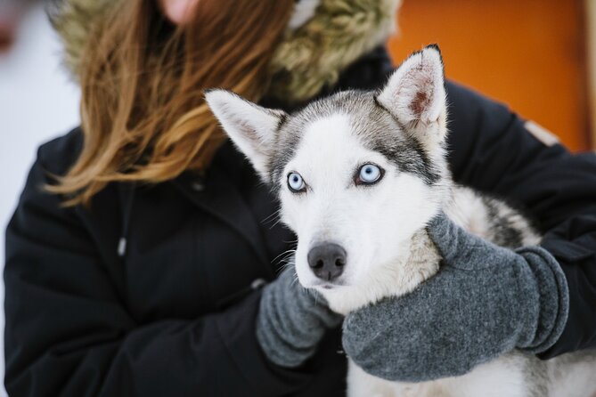 Husky Safari from Levi 2 KM or 5 KM with Husky Sledge Ride - What to wear: the “dress warm” advice that actually matters