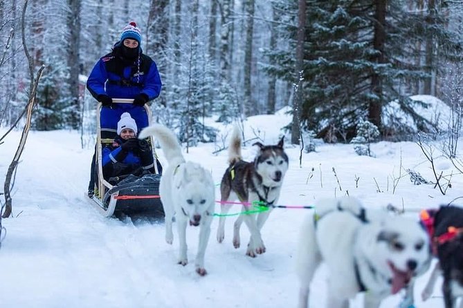 Husky safari - Warm-up with a hot drink after the ride