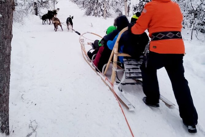 Husky Sledding Ride in Levi 5 KM - Husky Time After the Ride: Petting, Personalities, Photos