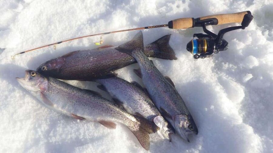 Ice Fishing Adventure in Levi with Salmon Soup - Price and value: is $135 for 3 hours worth it?