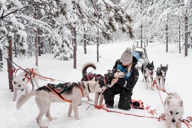 Ice Fishing and Husky - Husky farm time: meet the team, then enjoy the ride