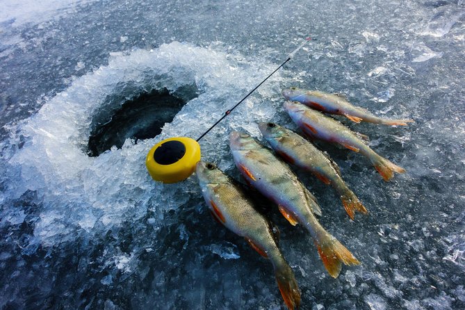 Ice Fishing and Husky - Price and value: why $312.41 can make sense here