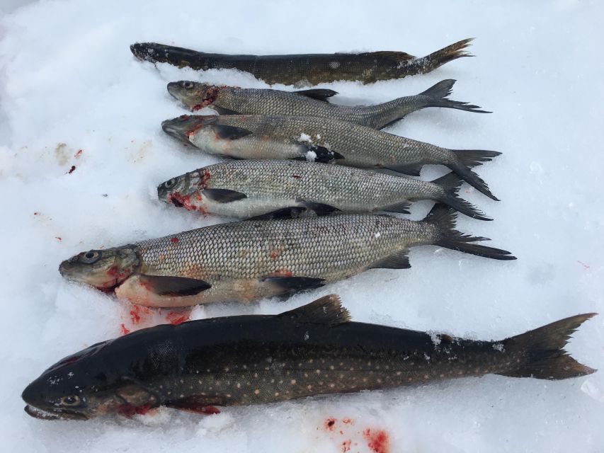 Icefishing and tasting in Lake Inari - What to Wear on the Ice (And How to Stay Comfortable for 2 Hours)