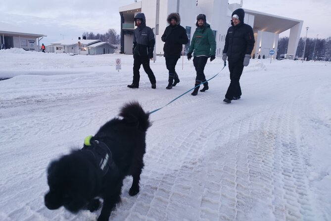 Icetrek to Old Kemi - Laitakari Island Walk: Old Sawmill and Village Ruins