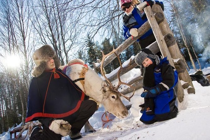 In Pursuit of Reindeer - Snowmobile safari to reindeer farm in Rovaniemi - Key Points You’ll Care About