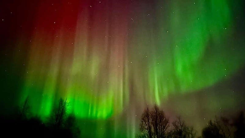 Inari/Ivalo: Aurora Hunting Tour by Car with Warm Drinks - Key Points You Will Care About