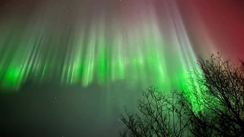 Inari/Ivalo: Aurora Hunting Tour by Car with Warm Drinks - Starting in Ivalo, Meeting at K-Market