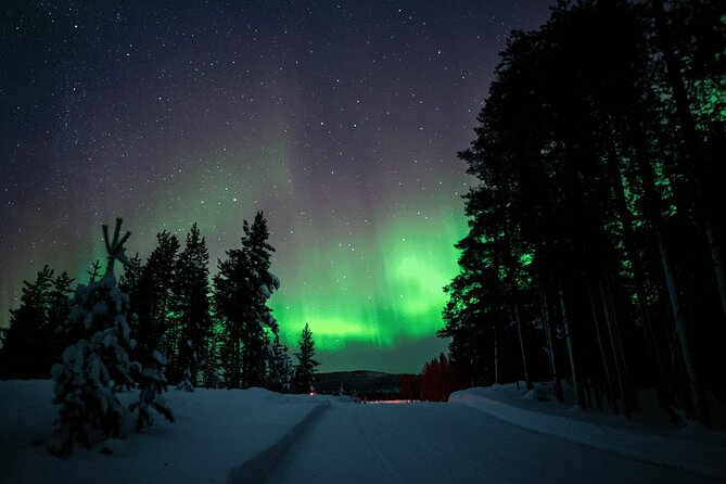Ivalo: Aurora Hunting with Reindeer - What You’ll Learn from the Reindeer Herder Cycle
