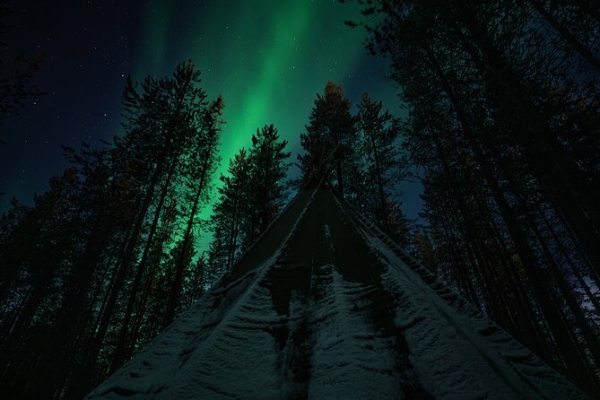 Ivalo: Aurora Hunting with Reindeer - Pickup, Meeting Point, and How to Plan Your Evening