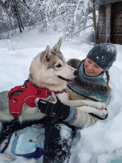 IVALO: Experience Farm Visit | small group - Price and value: is $57 per person worth it?