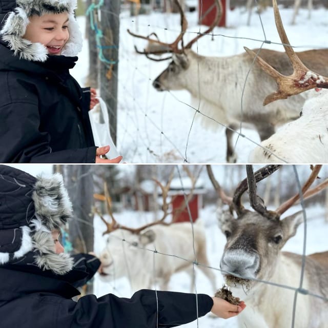 Ivalo: Ice Fishing Tour to Lake Inari, Reindeers & Lunch - Who Should Book This, and Who Might Want to Choose Another Tour