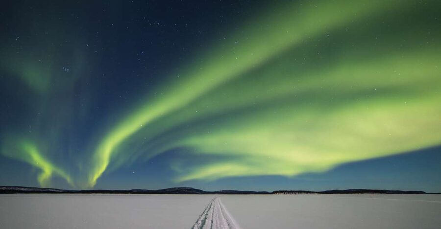 Ivalo: Lake Inari Northern Lights Tour w/ Reindeer & Dinner - Reindeer time with Tina and Tapio’s family operation