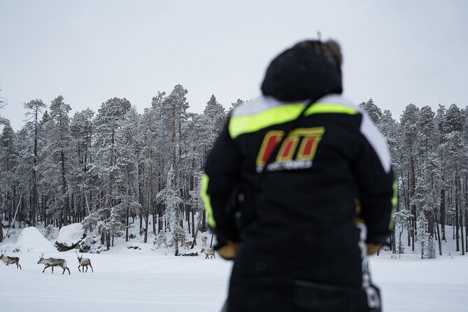 Ivalo: Reindeer herd and fishing experience - Lunch by open fire in the wilderness, from creamy soup to hot berry juice
