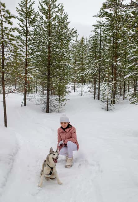 Ivalo - Saariselkä: Husky Walk in the Wilderness - Key Things to Know Before You Go