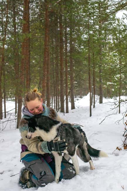 Ivalo - Saariselkä: Husky Walk in the Wilderness - What This Husky Walk Feels Like in Ivalo