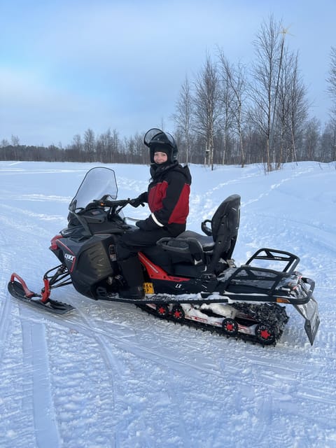 Ivalo: Snowmobile Safari, Meet and Feed Reindeers with Lunch - Reindeer on the home island of Tina and Tapio