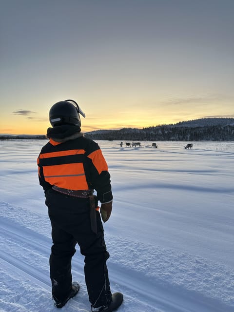 Ivalo: Snowmobile Safari, Meet and Feed Reindeers with Lunch - Lunch in a warm lappish teepee, campfire style