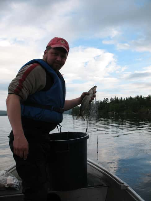 Ivalo: Summer Day/Evening on a Lake in the Wild - The Cruise That Makes Lapland Feel Personal, Silent Electric Boat on a Wild Lake