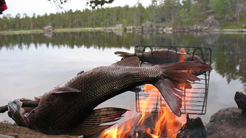 Ivalo: Summer Day/Evening on a Lake in the Wild - Fishing With a Local, Trolling, Casting, and Checking Nets
