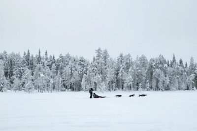 Tornio: Husky Sled Ride with Hot Drink