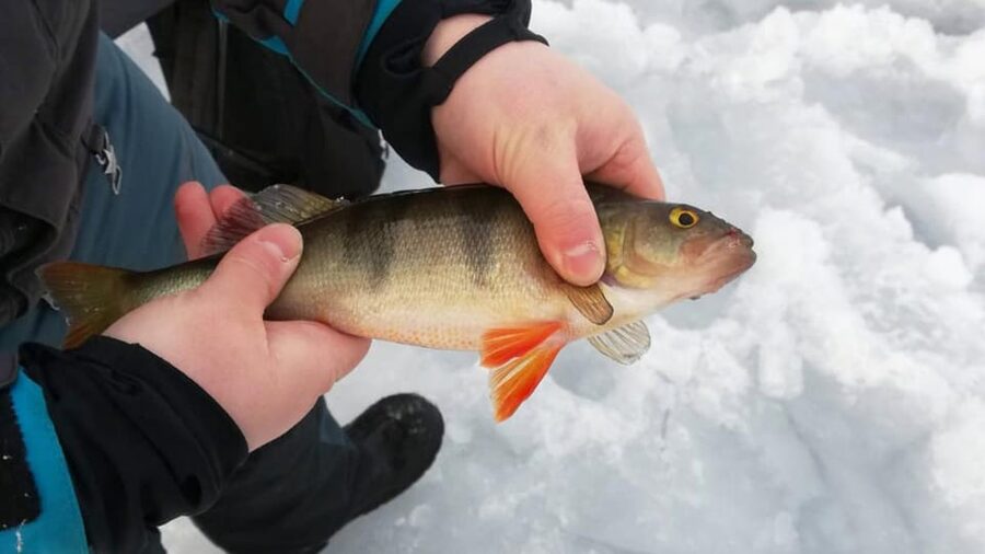 Kemi-Tornio: Ice Fishing Safari with Snowmobiles - How the snowmobile safari works on the frozen bay