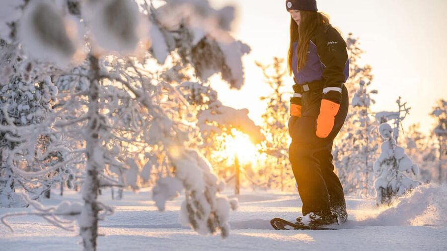 Kemi-Tornio: Nature tour with snowshoes - Key Highlights You Will Feel During the 2.5 Hours